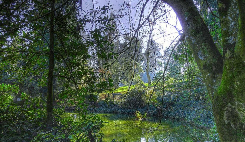 Arboretum du Bois du Tay, Hambers, France, France